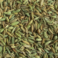 25kgs/50kgs PP Bags China Best-Selling Fennel Seeds